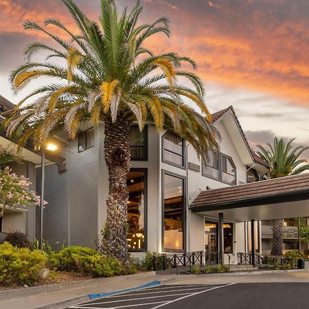Best Western Plus Novato Oaks Inn Eksteriør billede